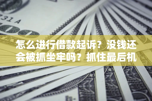 北京怎么进行借款起诉？没钱还会被抓坐牢吗？抓住最后机会！