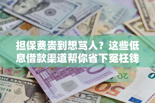 北京担保费贵到想骂人？这些低息借款渠道帮你省下冤枉钱