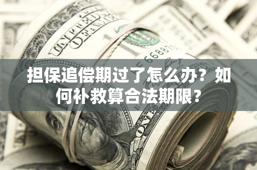 北京担保追偿期过了怎么办？如何补救算合法期限？